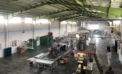 نوین گل عسل